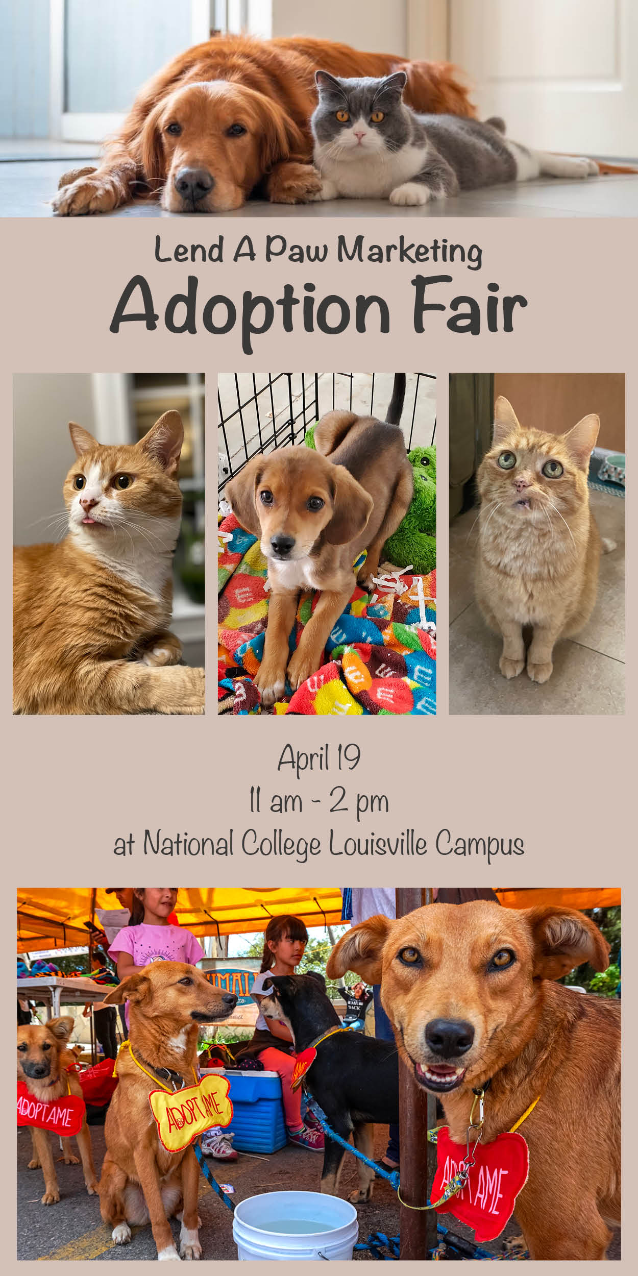 FOX Flyer Makeover 3